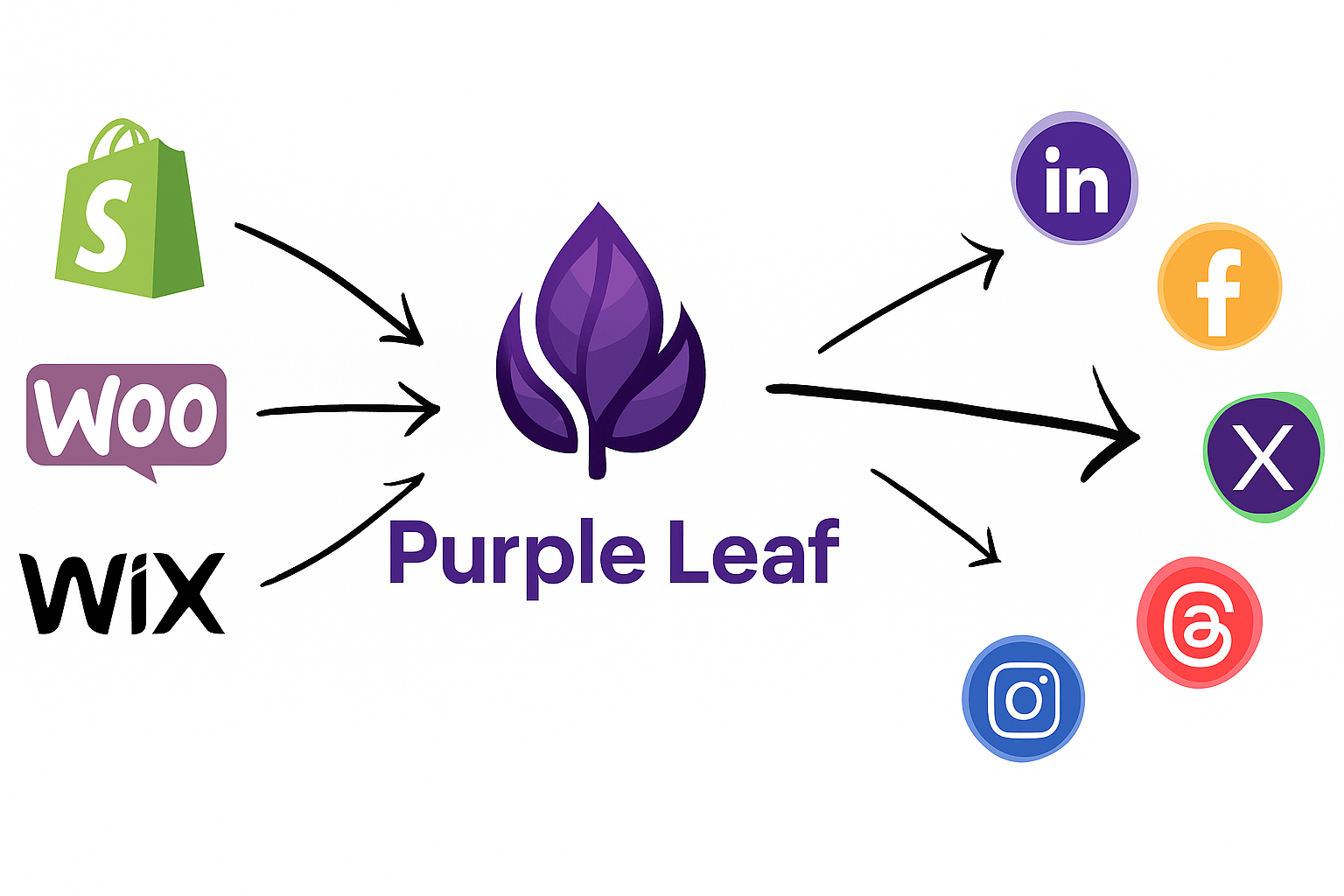 eCommerce Website to Social Media